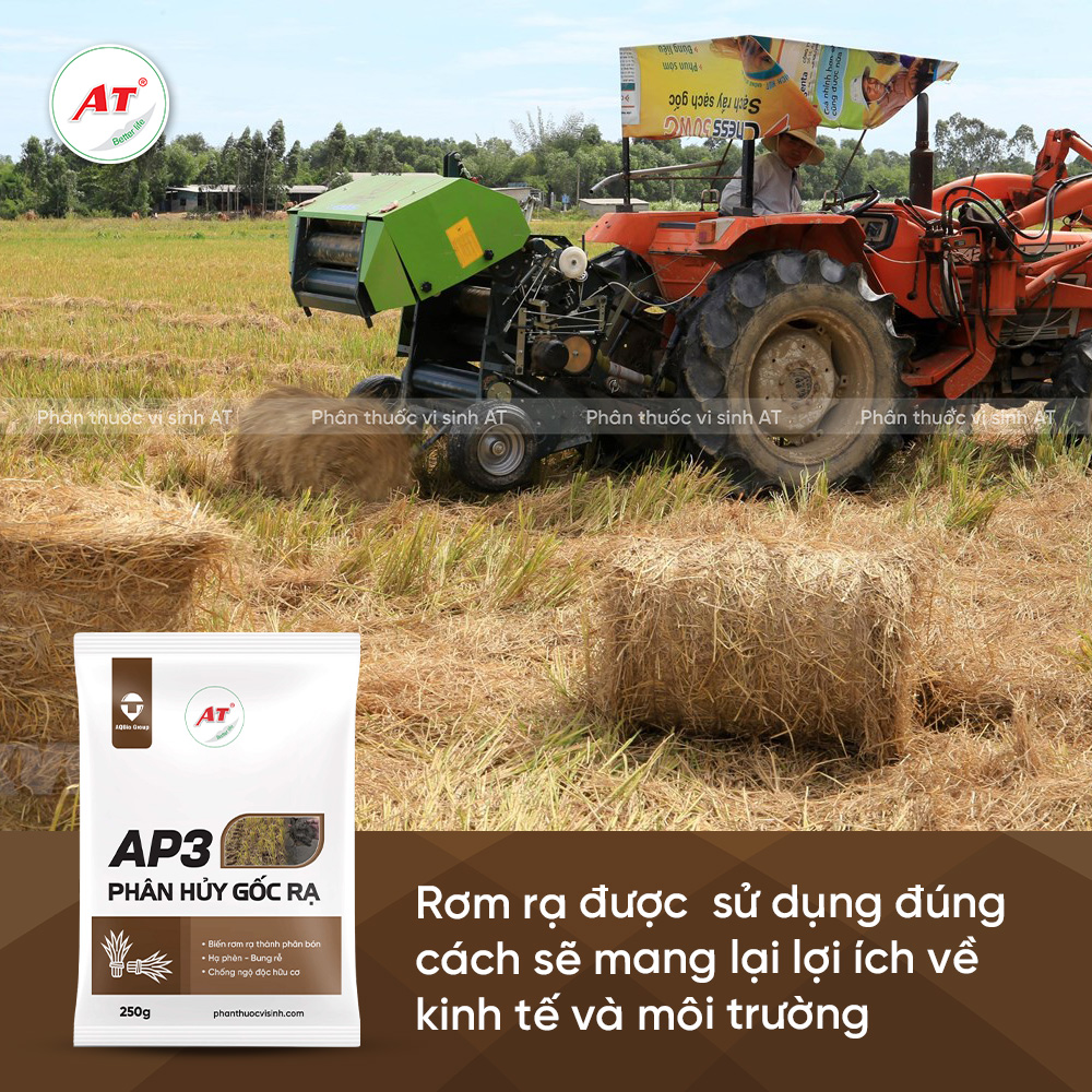 AP3 Phân hủy gốc rạ lợi ích