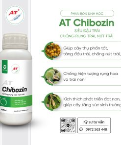 Chibozin công dụng