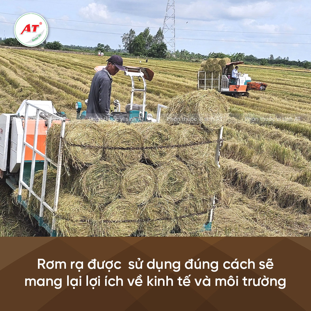 Lợi ích của rơm rạ