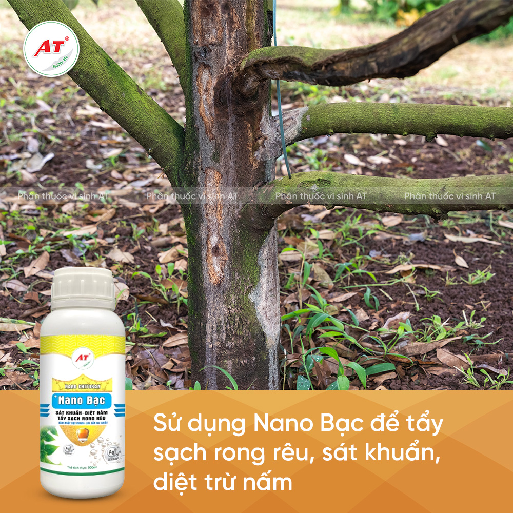 Nano Bạc sát khuẩn diệt trừ nấm