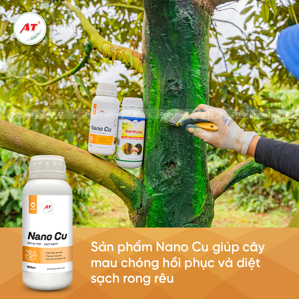 Nano Cu tẩy sạch rong rêu