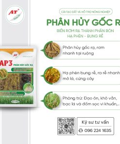PHGR