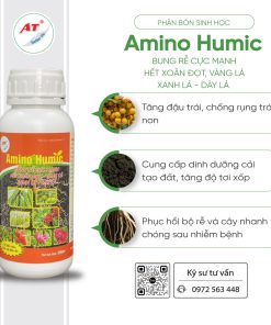 amino humic chai