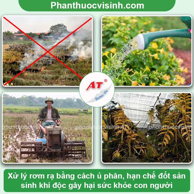 Giải độc hữu cơ, chống nghẹt rễ - AT Amino Humic 1kg