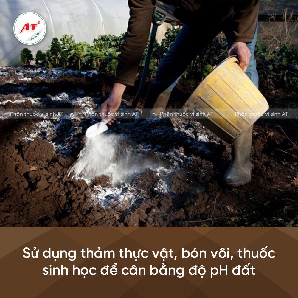 cân bằng pH dất