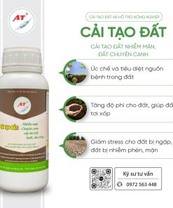 cải tạo dất