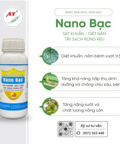 nano bạc