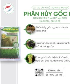 phân hủy gốc rạ 1