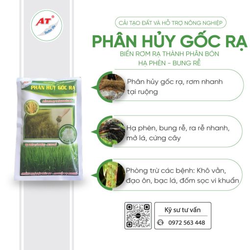 phân hủy gốc rạ 1