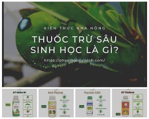 thuoc-tru-sau-sinh-hoc