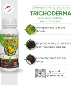 trichoderma ngăn ngừa nấm bệnh