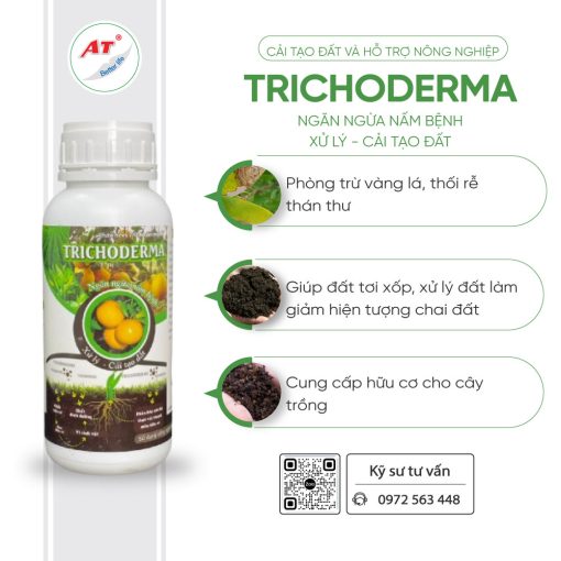 trichoderma ngăn ngừa nấm bệnh