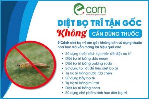 diet-bo-tri-khong-dung-thuoc