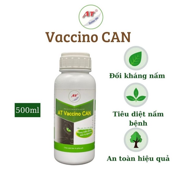 at-vaccino-can-de-phong-tru-benh-than-thu-lam-xoai-rung-trai