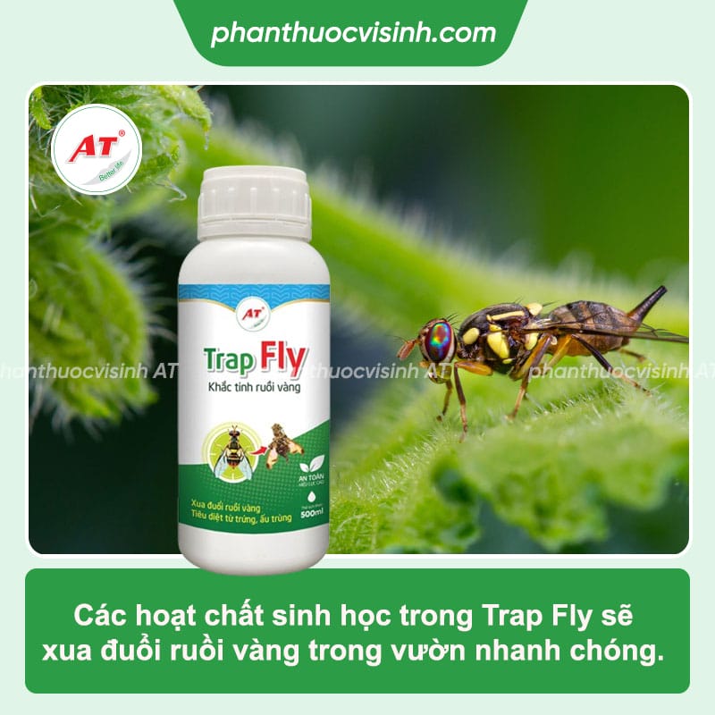 Trap Fly 500ml - Trừ sâu sinh học, khắc tinh của ruồi vàng