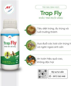 trap fly 2