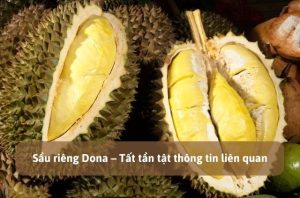 Sầu riêng Dona