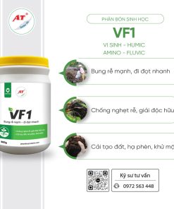 vf1 1