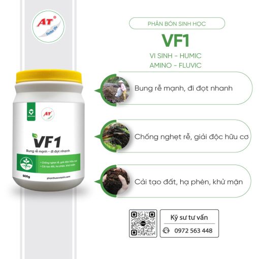 vf1 1