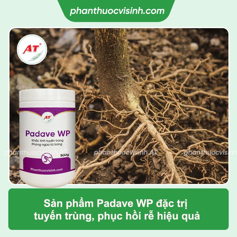 Padave WP 500g - Thuốc phục hồi rễ, bảo vệ rễ, diệt tuyến trùng