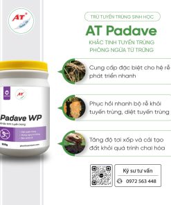 padave wp 1