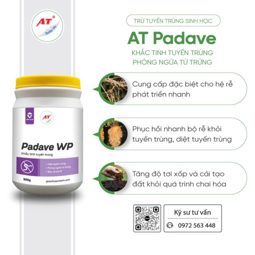 padave wp 1