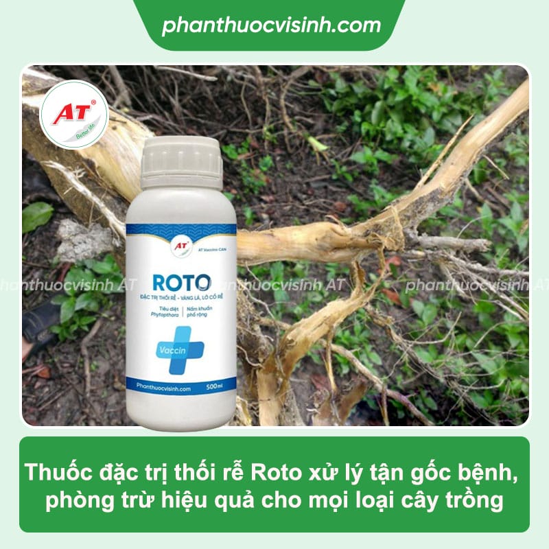 Roto 500ml - Thuốc đặc trị bệnh thối rễ, vàng lá, lở cổ rễ hiệu quả