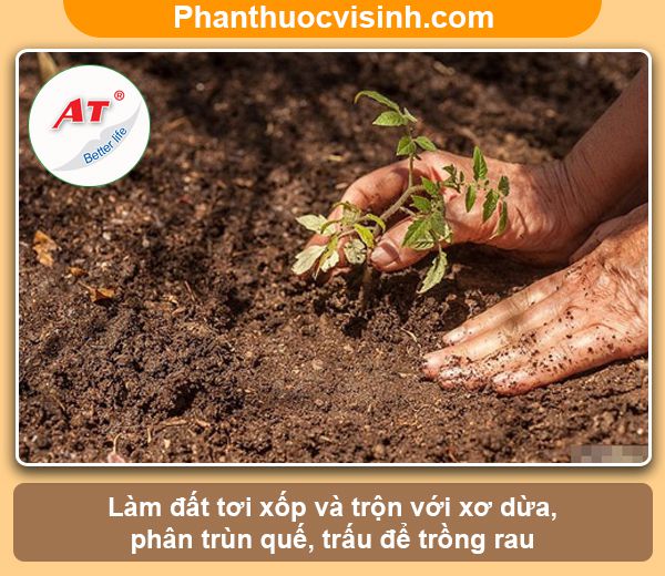 Hướng dẫn trồng rau bằng chai nhựa tạo khu vườn xanh, sạch