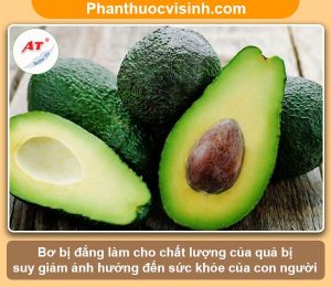 Nguyên nhân và cách khắc phục bơ bị đắng