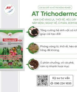 Trichoderma - Ủ phân hữu cơ, rơm rạ, vỏ cà phê, chống nghẹt rễ