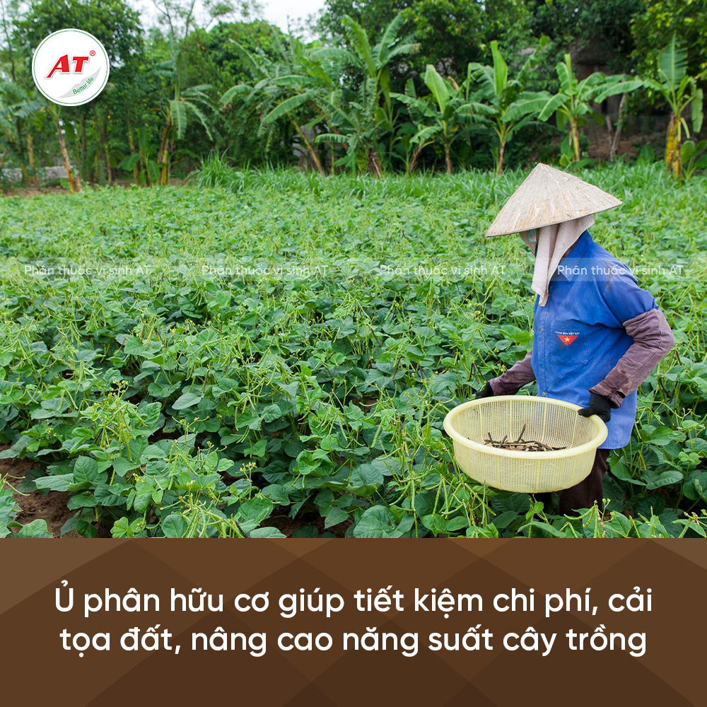 Lợi ích của ủ phân hữu cơ