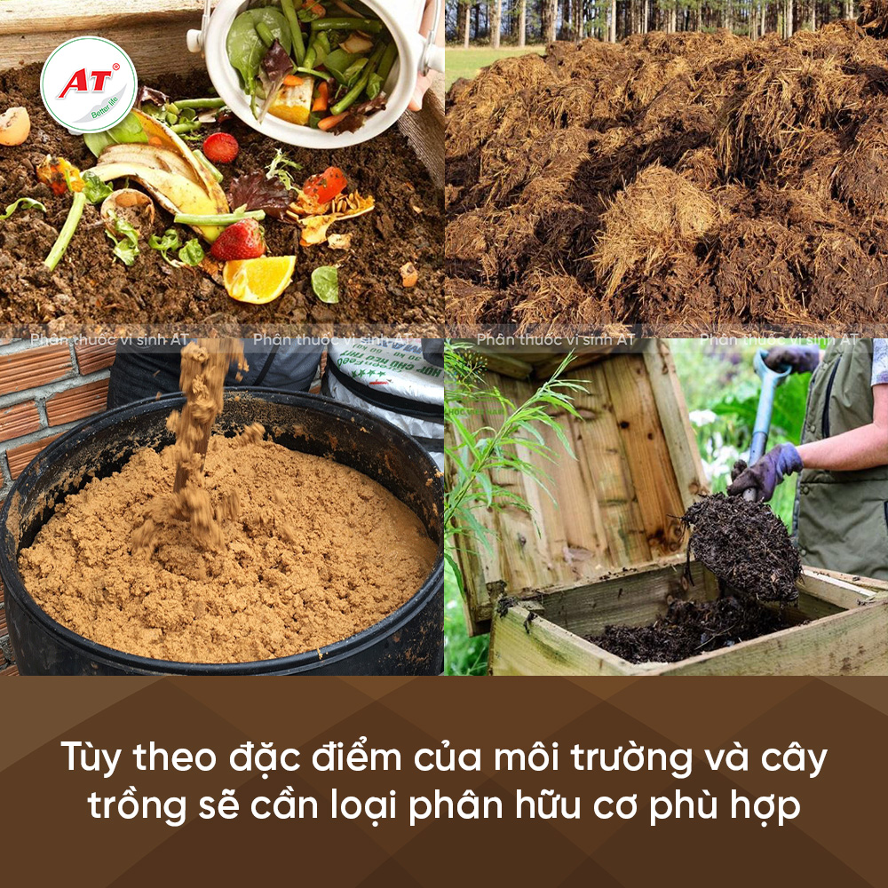 Phân hữu cơ cho cây