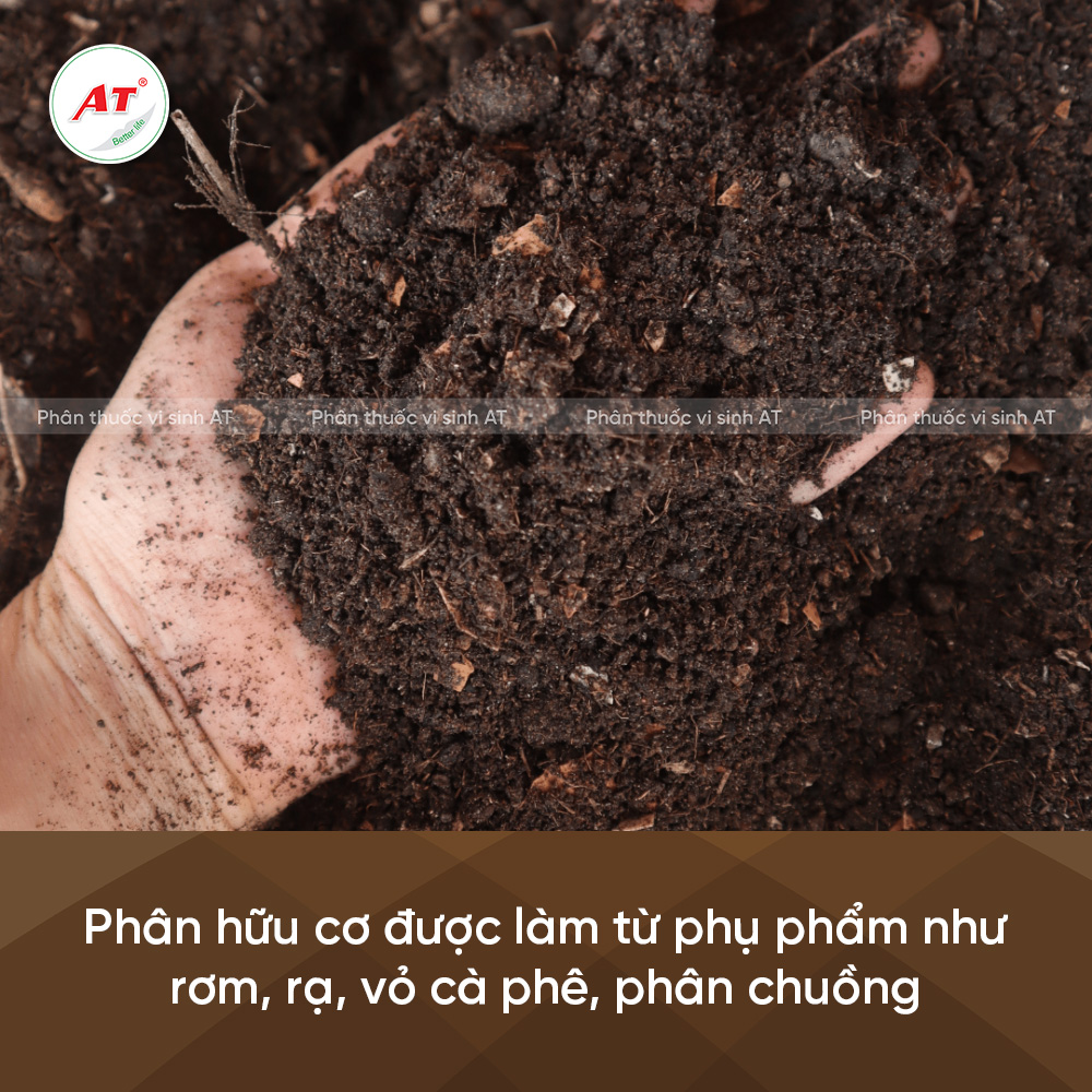 Phân hữu cơ là gì