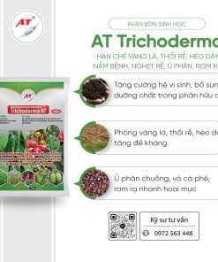 at trichoderma