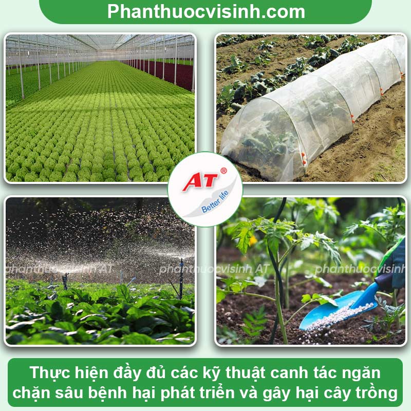 Các loại sâu bệnh hại cây trồng & Biện pháp phòng trừ