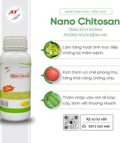 nano chitosan 1