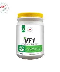 Thuốc siêu ra rễ cực mạnh VF1 đi đọt nhanh, chống nghẹt rễ