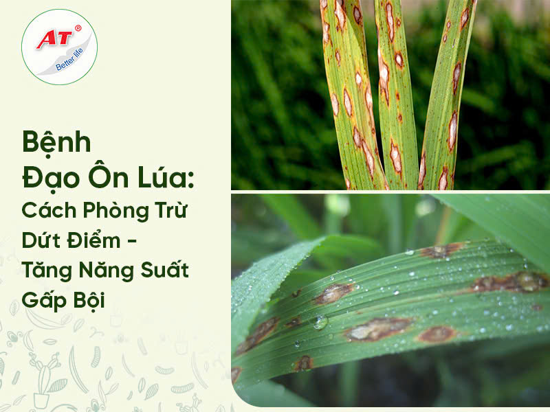 Bệnh đạo ôn lúa
